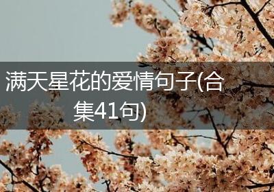 满天星花的爱情句子(合集41句)