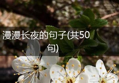 漫漫长夜的句子(共50句)