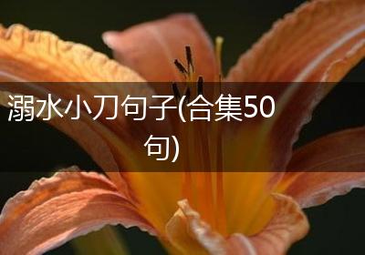 溺水小刀句子(合集50句)
