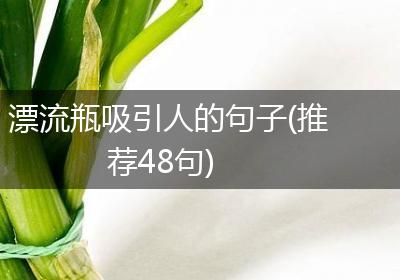 漂流瓶吸引人的句子(推荐48句)