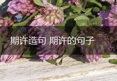 期许造句 期许的句子