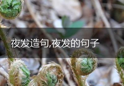 夜发造句,夜发的句子