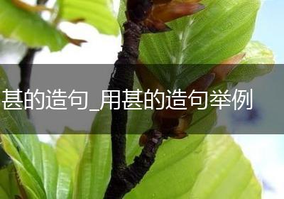甚的造句_用甚的造句举例