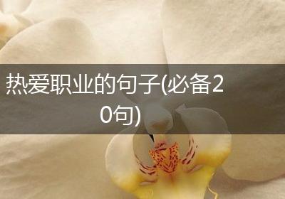 热爱职业的句子(必备20句)