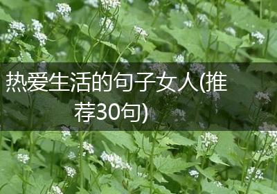 热爱生活的句子女人(推荐30句)