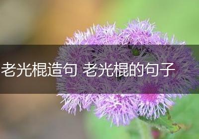 老光棍造句 老光棍的句子