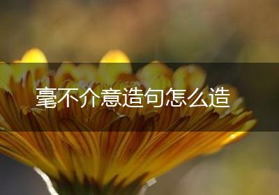 毫不介意造句怎么造