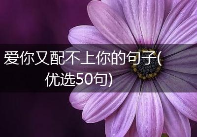 爱你又配不上你的句子(优选50句)