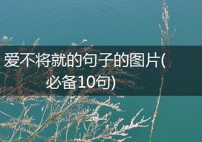 爱不将就的句子的图片(必备10句)
