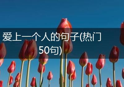 爱上一个人的句子(热门50句)
