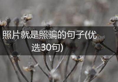 照片就是照骗的句子(优选30句)
