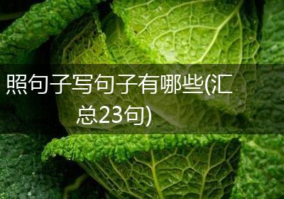 照句子写句子有哪些(汇总23句)