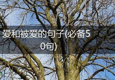 爱和被爱的句子(必备50句)