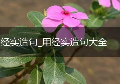 经实造句_用经实造句大全