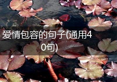爱情包容的句子(通用40句)