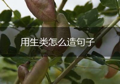 用生类怎么造句子