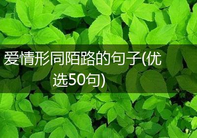 爱情形同陌路的句子(优选50句)