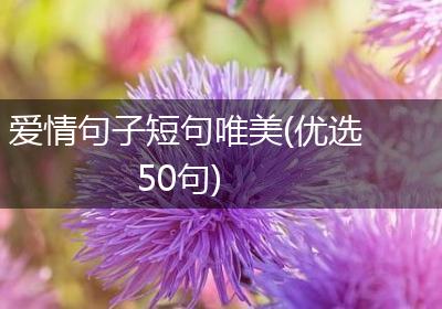 爱情句子短句唯美(优选50句)