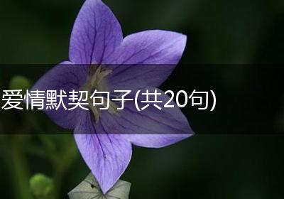 爱情默契句子(共20句)