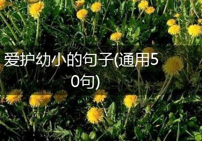 爱护幼小的句子(通用50句)