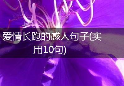 爱情长跑的感人句子(实用10句)