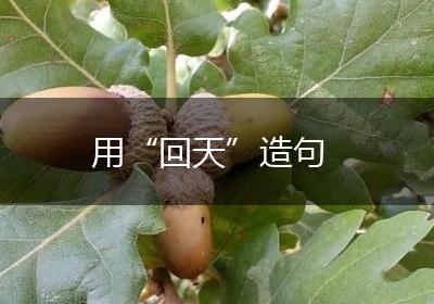 用“回天”造句