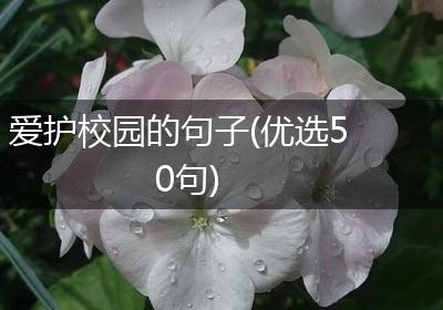 爱护校园的句子(优选50句)