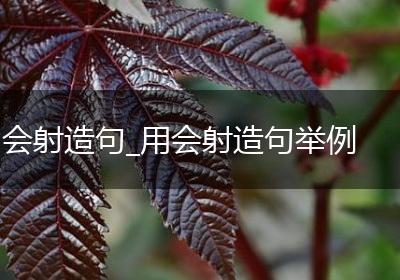 会射造句_用会射造句举例