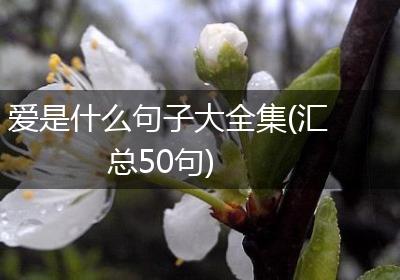 爱是什么句子大全集(汇总50句)