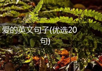爱的英文句子(优选20句)