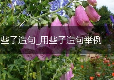 些子造句_用些子造句举例