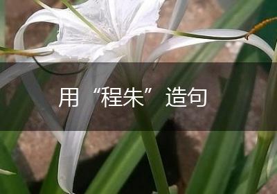 用“程朱”造句