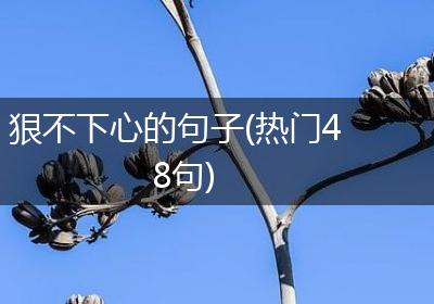 狠不下心的句子(热门48句)