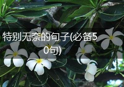 特别无奈的句子(必备50句)