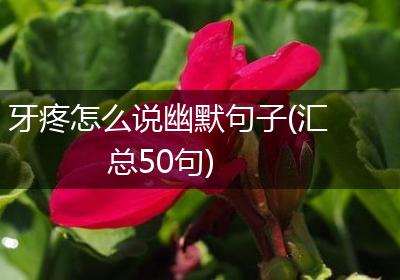 牙疼怎么说幽默句子(汇总50句)