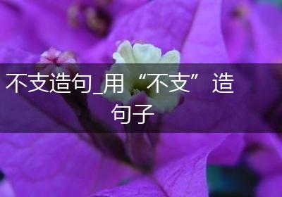 不支造句_用“不支”造句子