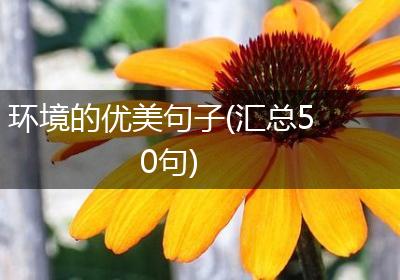 环境的优美句子(汇总50句)