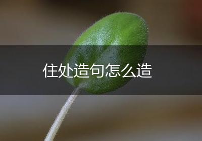 住处造句怎么造