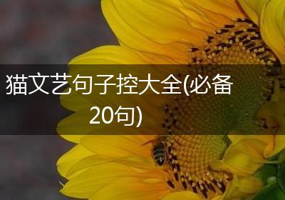 猫文艺句子控大全(必备20句)