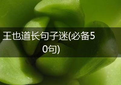 王也道长句子迷(必备50句)