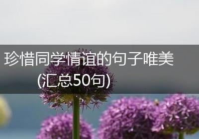 珍惜同学情谊的句子唯美(汇总50句)
