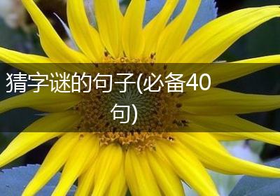 猜字谜的句子(必备40句)