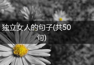 独立女人的句子(共50句)