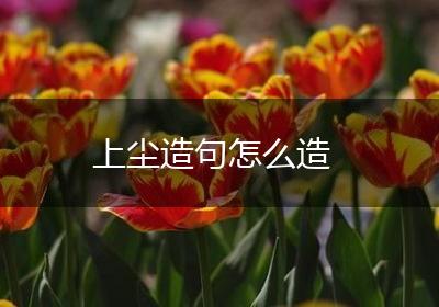 上尘造句怎么造