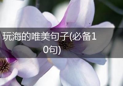 玩海的唯美句子(必备10句)