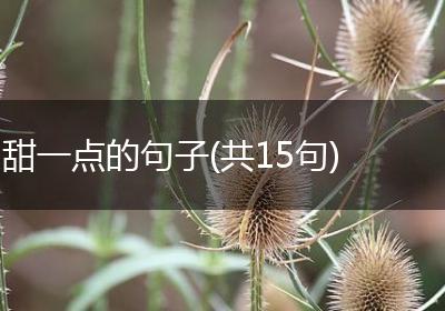 甜一点的句子(共15句)