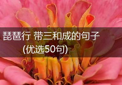 琵琶行 带三和成的句子(优选50句)