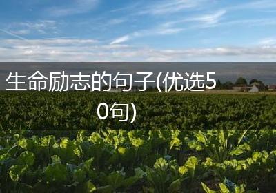 生命励志的句子(优选50句)
