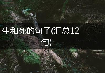 生和死的句子(汇总12句)