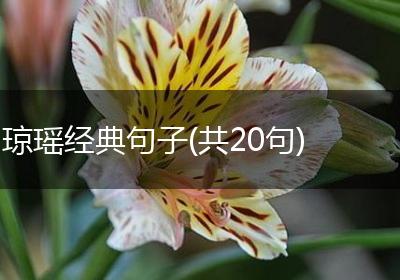 琼瑶经典句子(共20句)